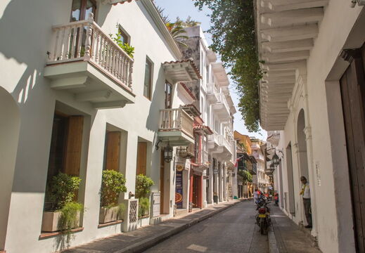 cartagene-220