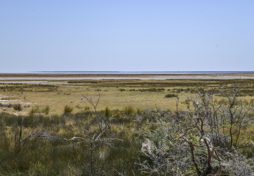 Namibie  2015-11-18-10h23m